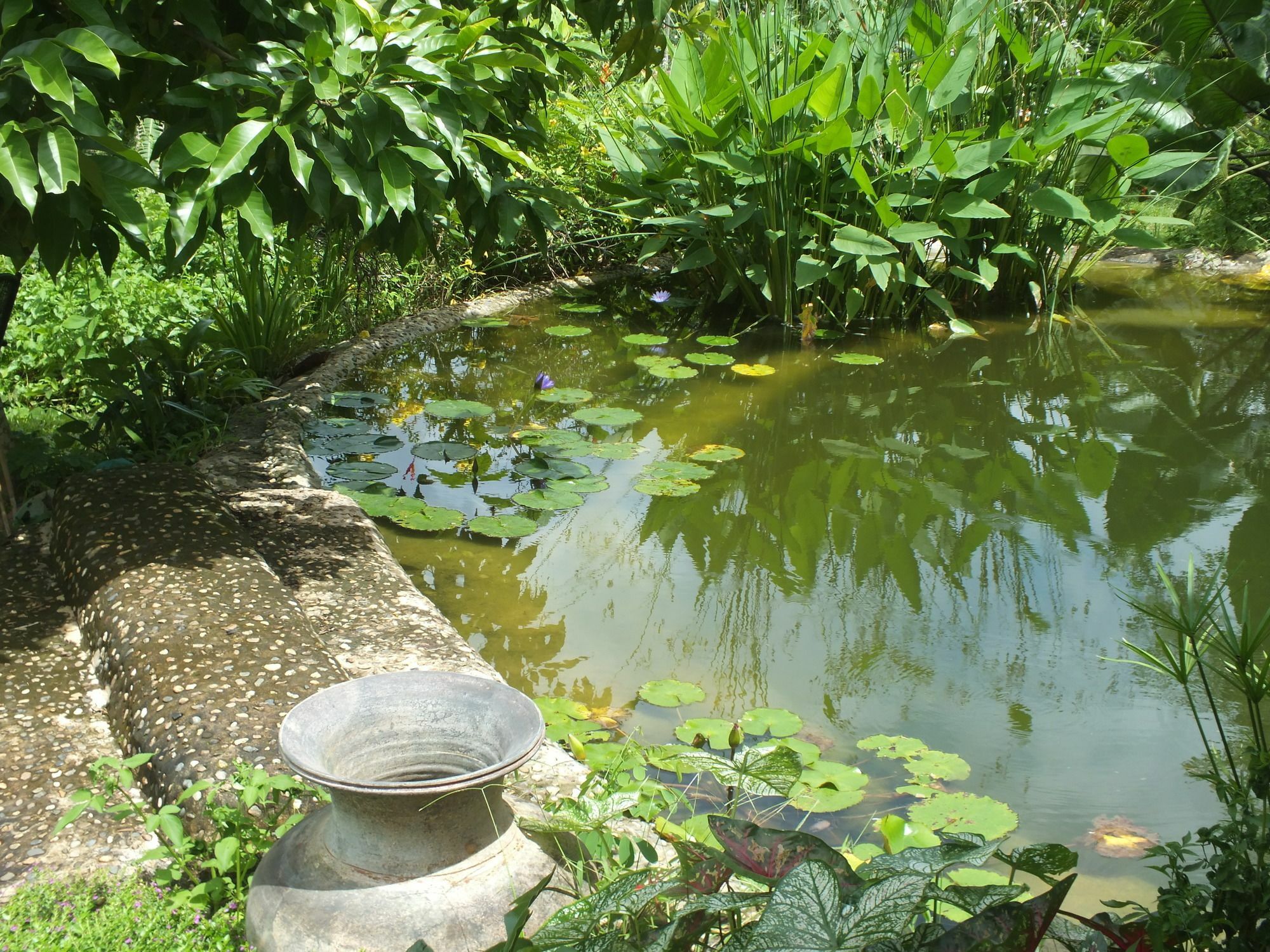 Chiang Dao Roundhouses Eksteriør billede